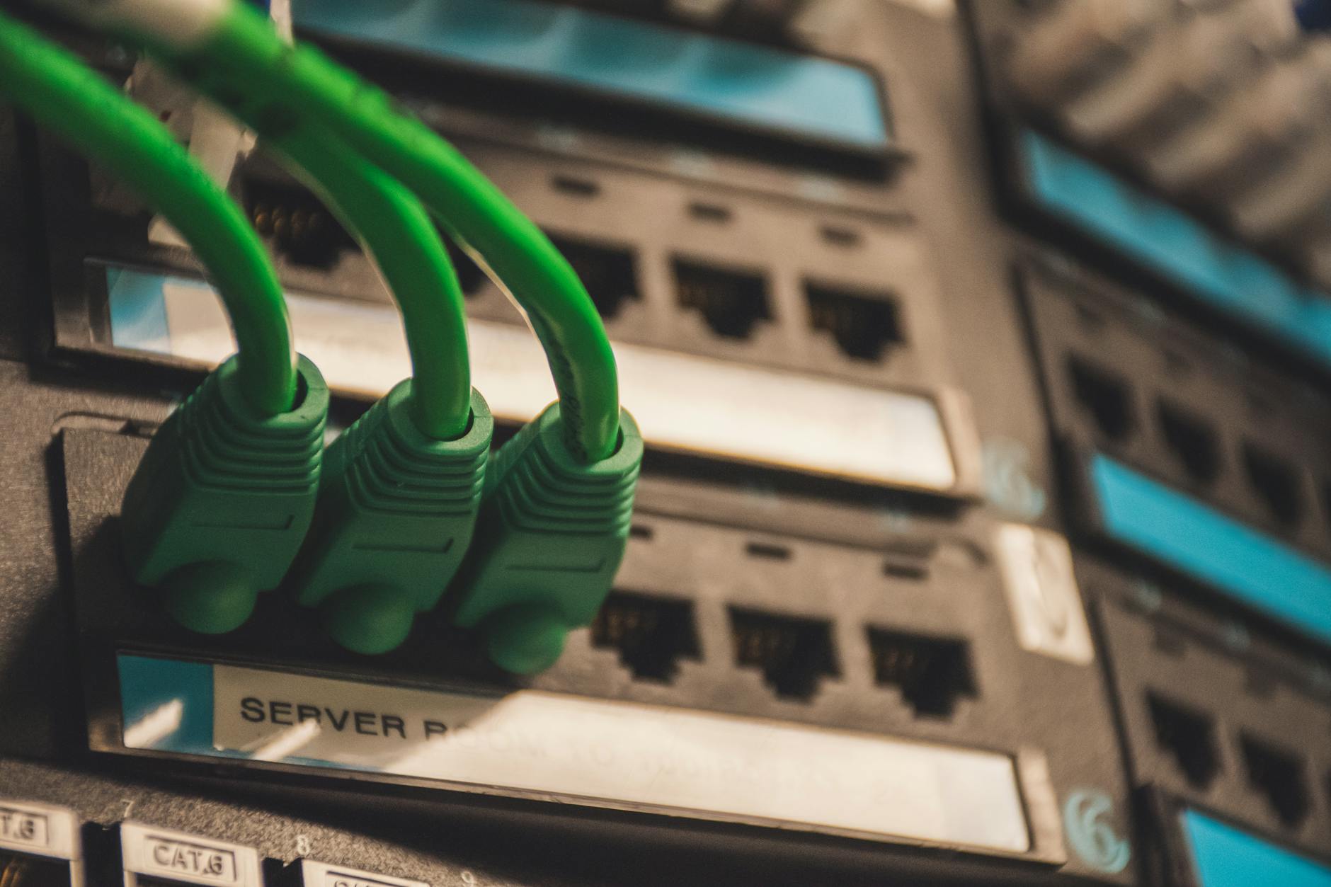 Zielone kable sieciowe podłączone do portów serwera w domowym labie IT